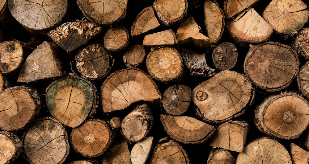 Bûches sèches pour utiliser un poêle à bois efficacement