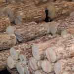 Combien de stères de bois pour une maison selon sa surface