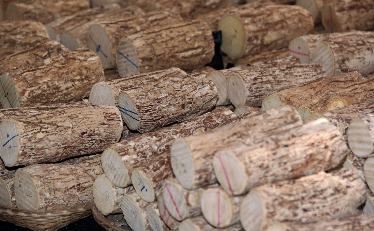 Combien de stères de bois pour une maison selon sa surface